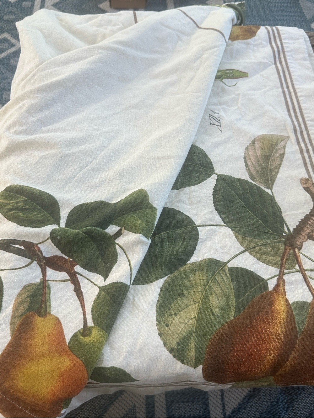 Williams & Sonoma Cloth Fruit Patterned 70”x90”